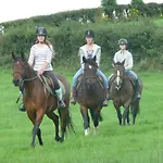 The Rock Equestrian Farm Bailieborough
