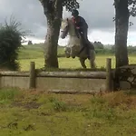 The Rock Equestrian Farm Отель типа 