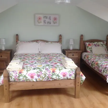 The Rock Equestrian Farm *