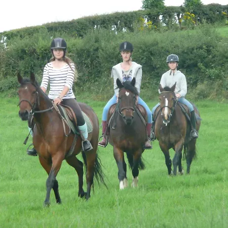 The Rock Equestrian Farm Bailieborough