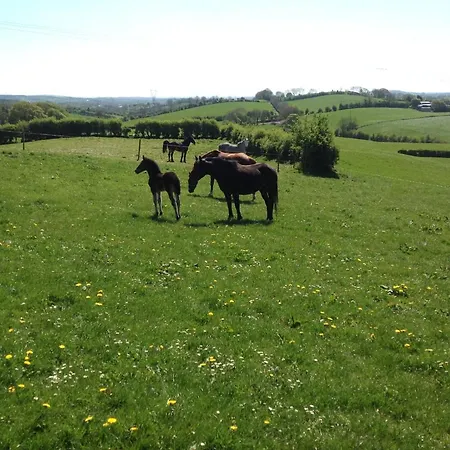The Rock Equestrian Farm Bed & Breakfast Bailieborough