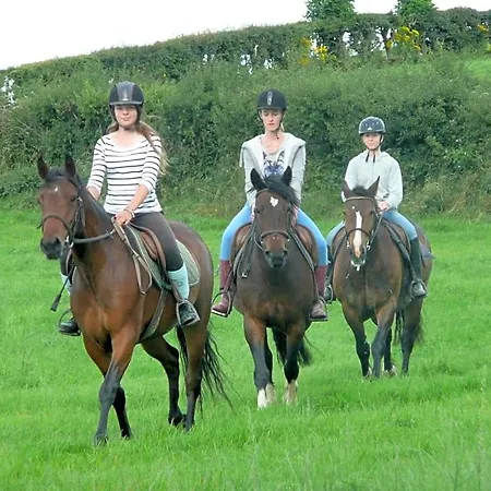 The Rock Equestrian Farm *