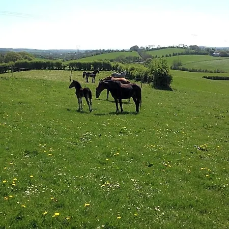 The Rock Equestrian Farm * Bailieborough