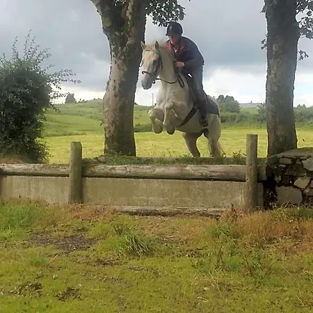 The Rock Equestrian Farm Frühstückspension *