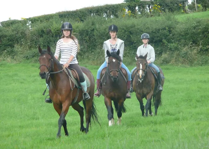 The Rock Equestrian Farm Bailieborough